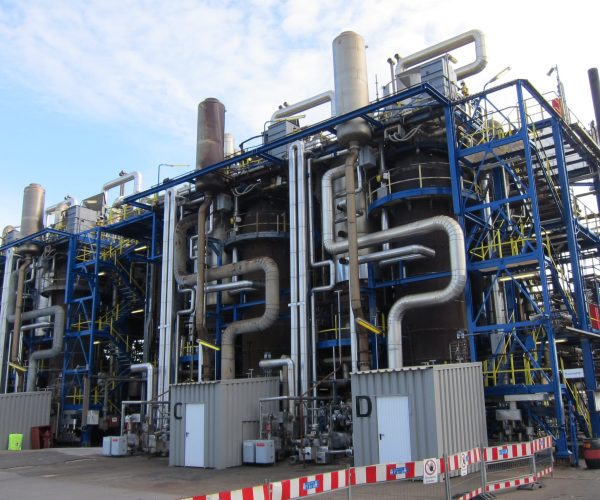 Image 2b_Yara_Plant