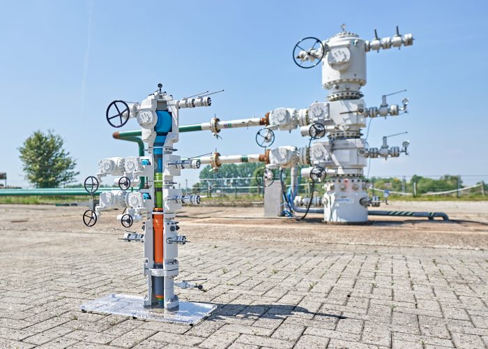Hartmann API6A Wellhead for crude oil cavern storage at NWKG _with 3D printing model_orginal